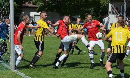 WhatsApp Image 2023-06-05 at 14.21.411